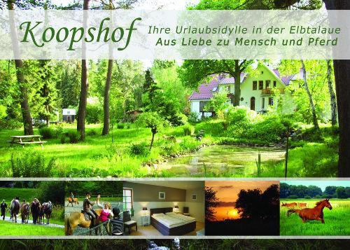 Seerose Alt Wendischthun Eksteriør billede